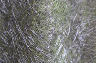 New Tredegar fibreglass roof work