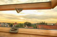 rated New Tredegar roof window companies